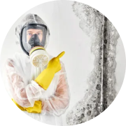 Mold Testing and Inspections