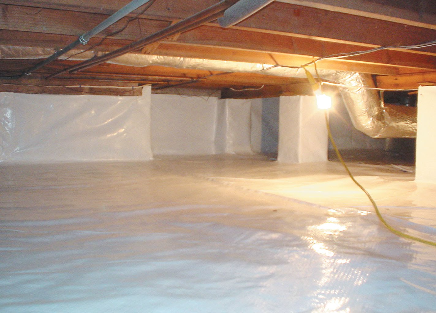 Basement Mold Removal​