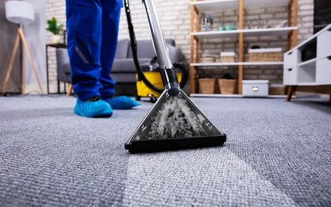 Carpet Mold Removal​