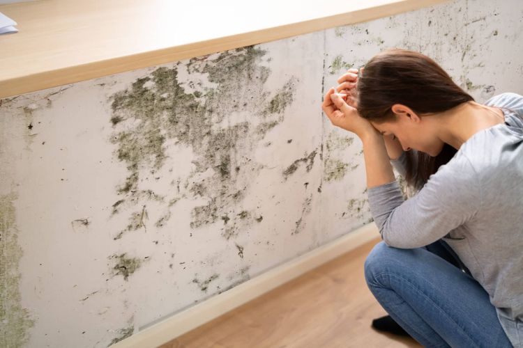 signs of mold exposure