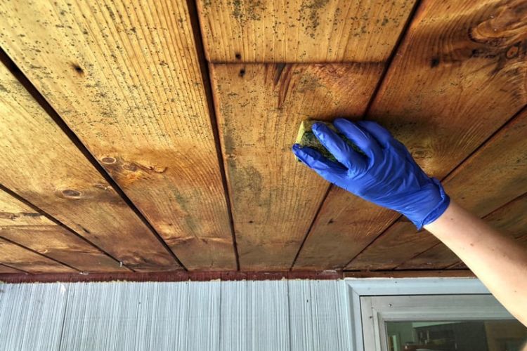 Effectively Removing Mold from Wood
