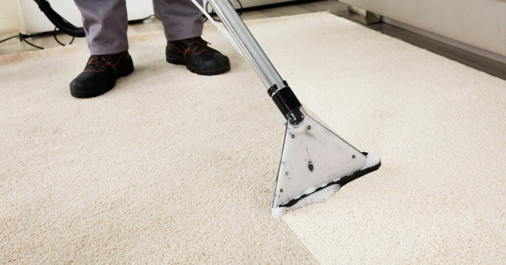 Carpet Mold Inspection