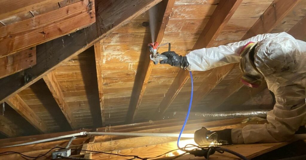 Attic mold removal services