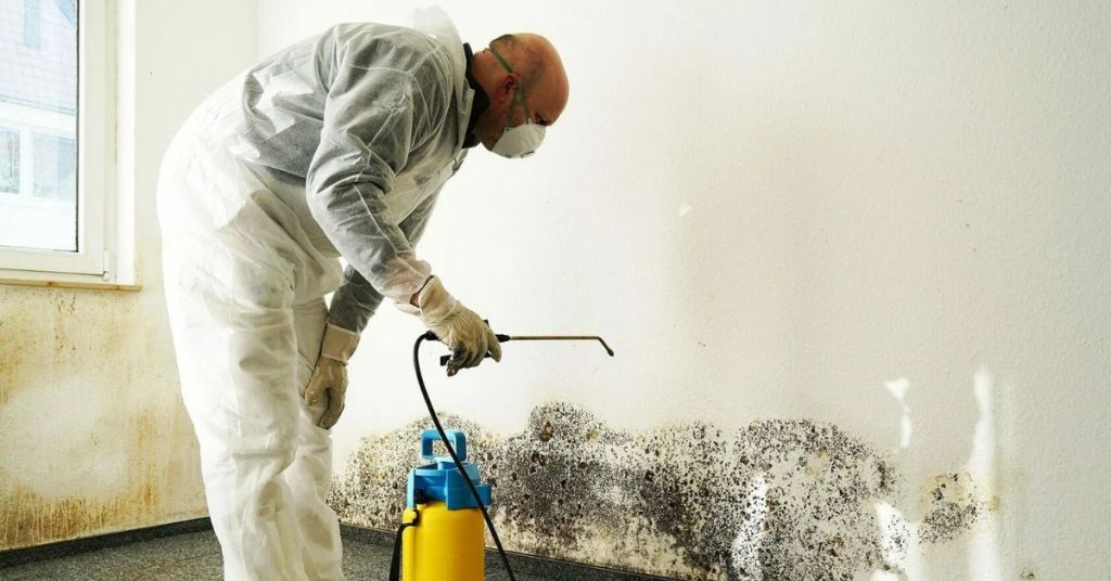 Accurate Mold Detection