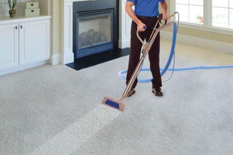 carpet cleaning mold removal
