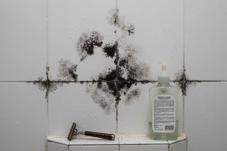 Bathroom Mold