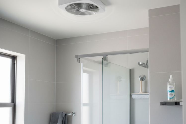 Preventing Bathroom Mold in the Future